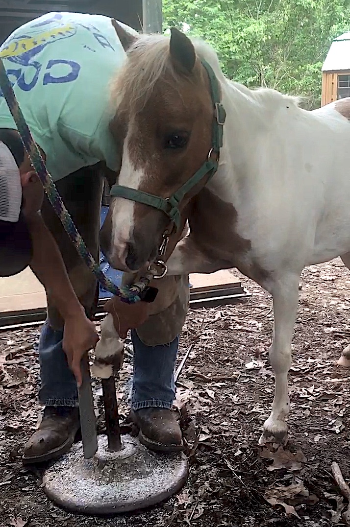 Deedee Getting Her Nails Done